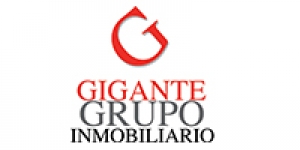GIGANTE GRUPO INMOBILIARIO