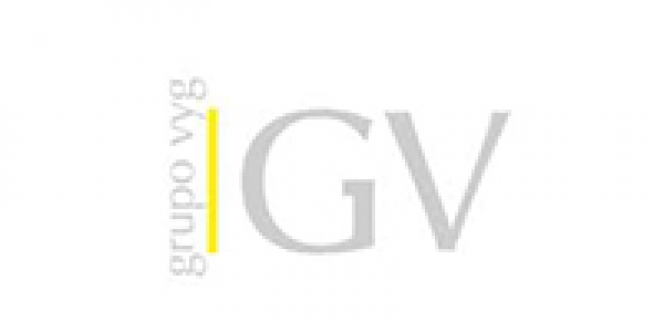 Grupo VYG
