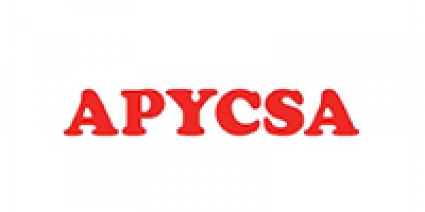 GRUPO APYCSA